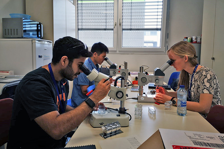 Naser Burahmah and two other students look into microscopes.